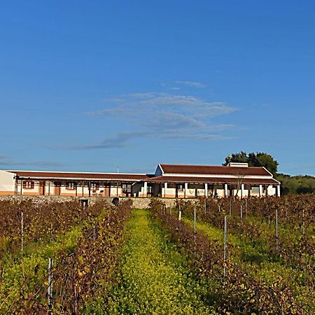Turismo Rural Pedremoura Vendégház Vila Ruiva  Kültér fotó