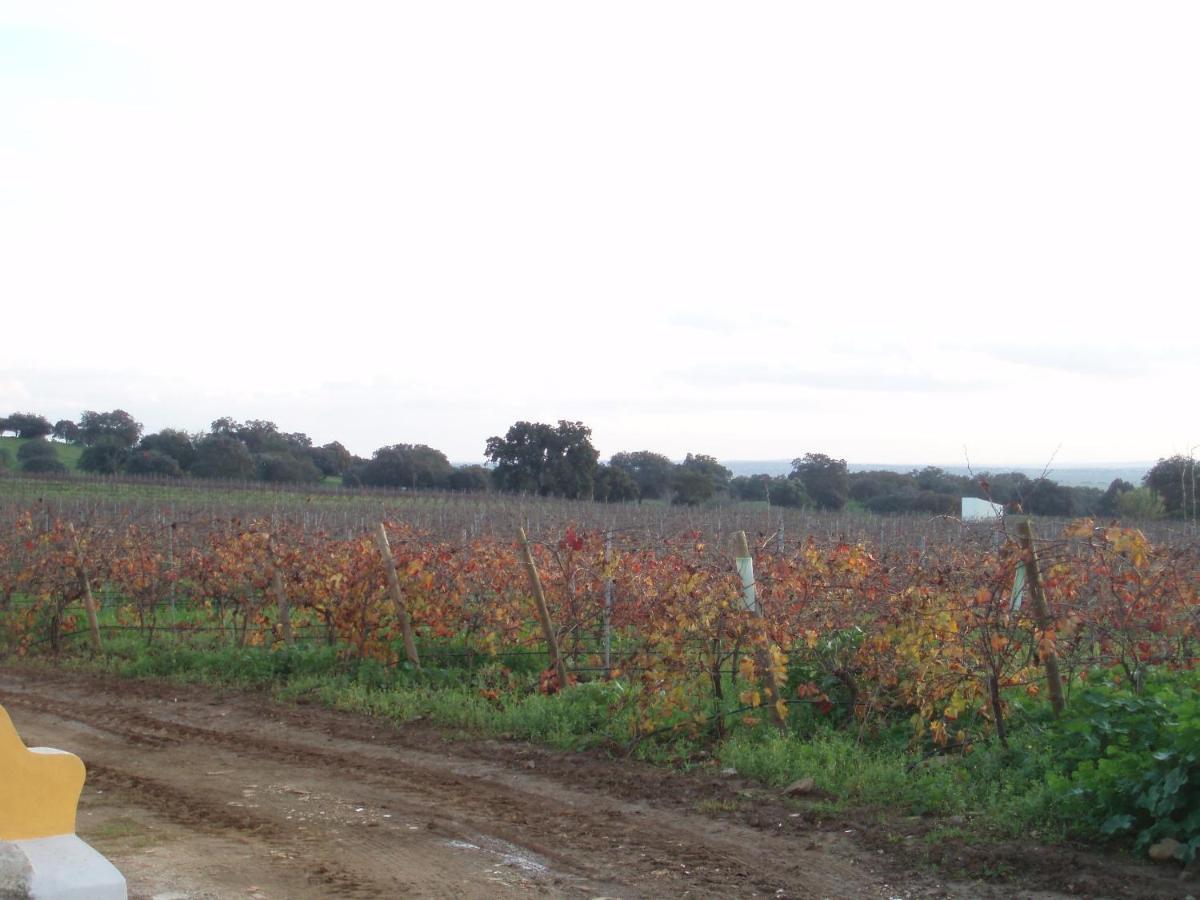 Turismo Rural Pedremoura Vendégház Vila Ruiva  Kültér fotó